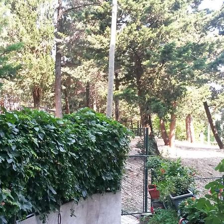 Anamarija Apartman Dubrovnik Luaran gambar